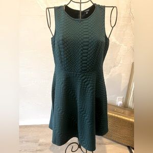 Sharagano knit Dark Green Fit and Flare Snakeskin embossed dress 16W Plus